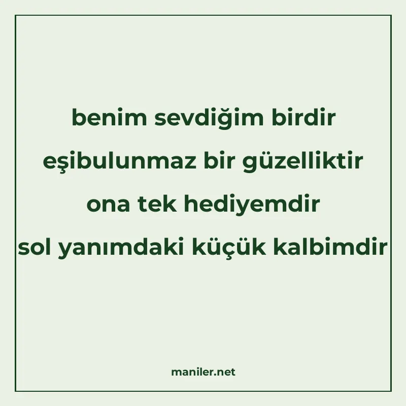 benim sevdiğim birdir eşibulunmaz bir güzelliktir ona tek he manisi görseli