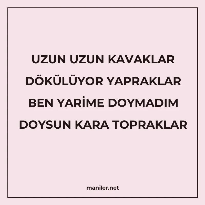 UZUN UZUN KAVAKLAR DÖKÜLÜYOR YAPRAKLAR BEN YARİME DOYMADIM D manisi görseli