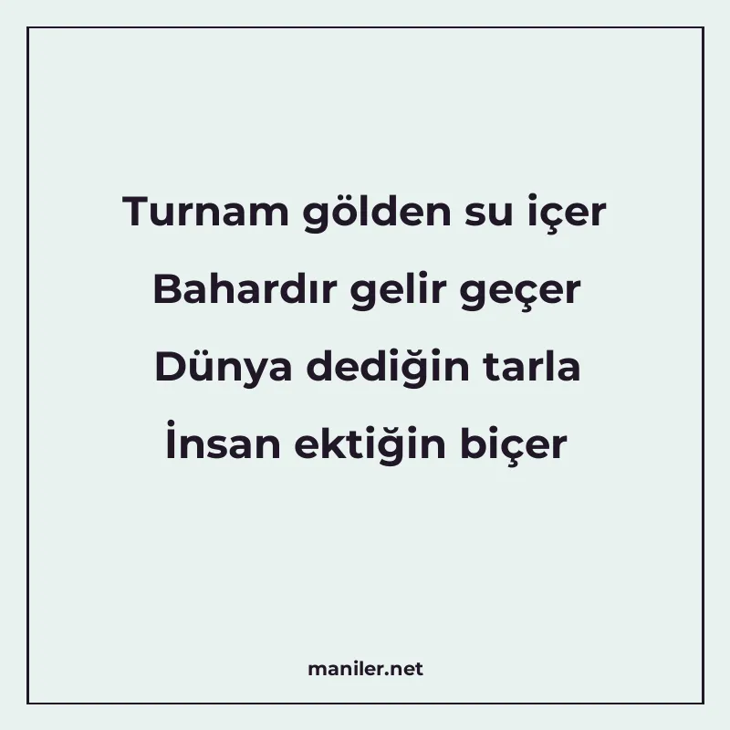 Turnam gölden su içer Bahardır gelir geçer Dünya dediğin tar manisi görseli