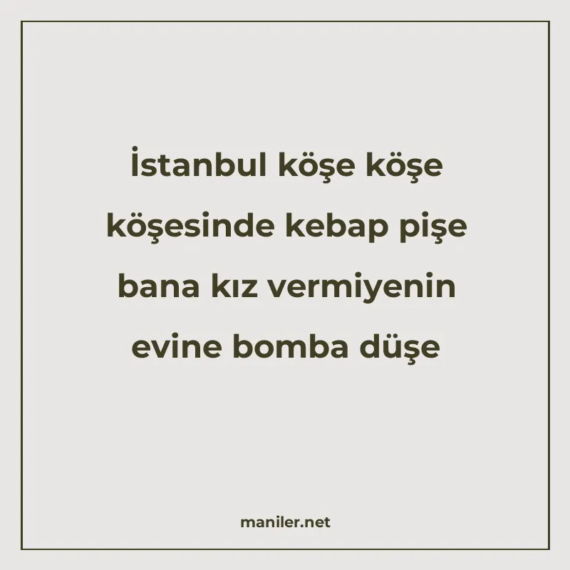 İstanbul köşe köşe köşesinde kebap pişe bana kız vermiyenin manisi görseli
