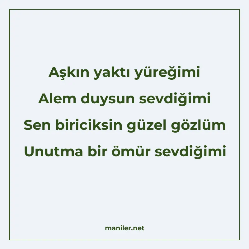 Aşkın yaktı yüreğimi Alem duysun sevdiğimi Sen biriciksin gü manisi görseli