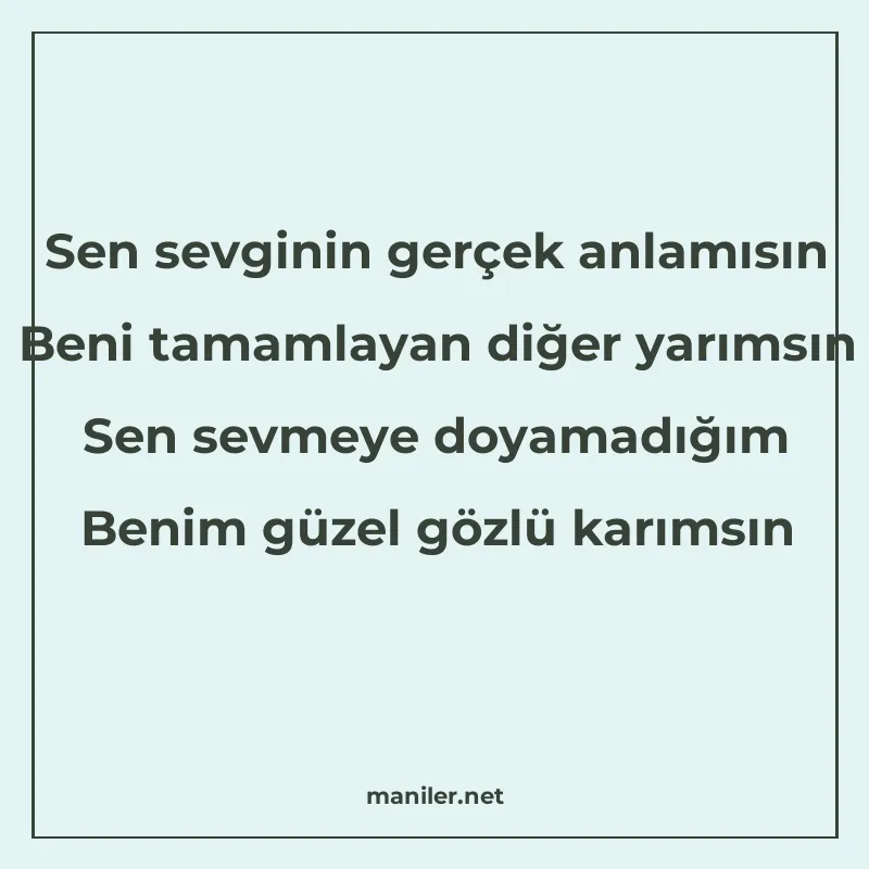 Sen sevginin gerçek anlamısın Beni tamamlayan diğer yarımsın manisi görseli