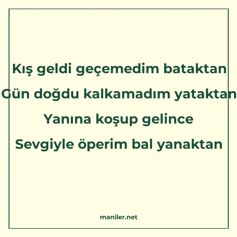 Kış geldi geçemedim bataktan Gün doğdu kalkamadım yataktan Y manisi görseli