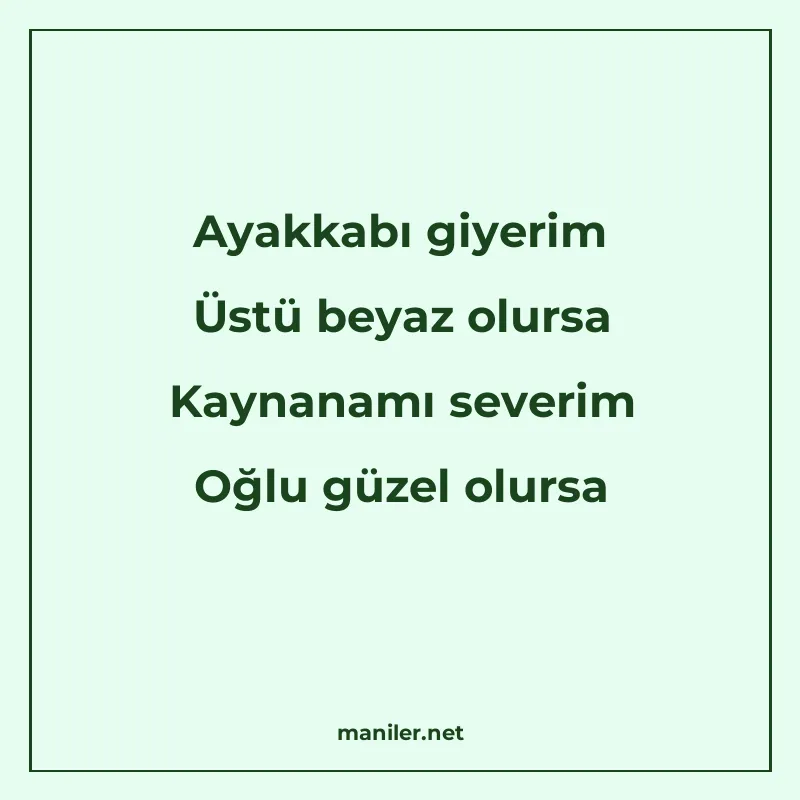 Ayakkabı giyerim Üstü beyaz olursa Kaynanamı severim Oğlu gü manisi görseli