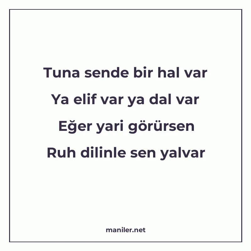 Tuna sende bir hal var Ya elif var ya dal var Eğer yari görü manisi görseli