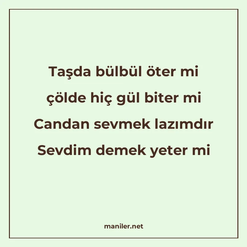 Taşda bülbül öter mi çölde hiç gül biter mi Candan sevmek la manisi görseli