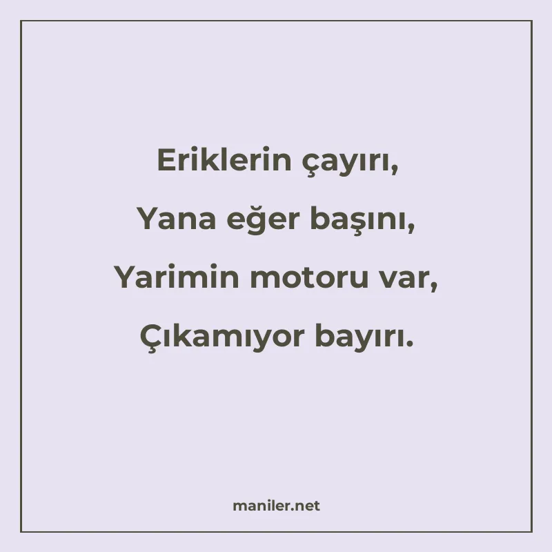 Eriklerin çayırı, Yana eğer başını, Yarimin motoru var, Çıka manisi görseli