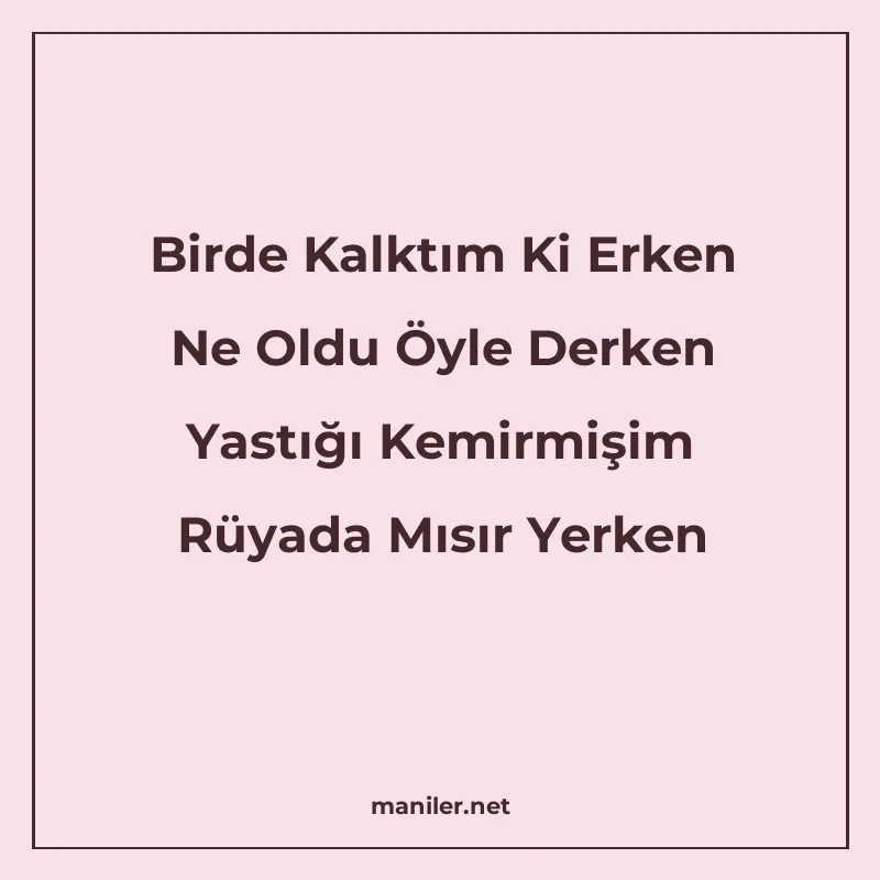 Birde Kalktım Ki Erken Ne Oldu Öyle Derken Yastığı Kemirmişi manisi görseli