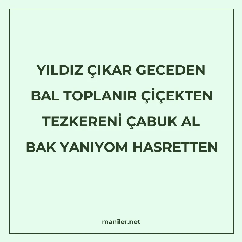 YILDIZ ÇIKAR GECEDEN BAL TOPLANIR ÇİÇEKTEN TEZKERENİ ÇABUK A manisi görseli