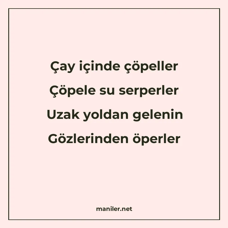 Çay içinde çöpeller Çöpele su serperler Uzak yoldan gelenin manisi görseli