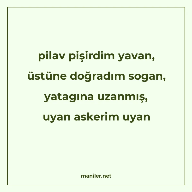 pilav pişirdim yavan, üstüne doğradım sogan, yatagına uzanmı manisi görseli