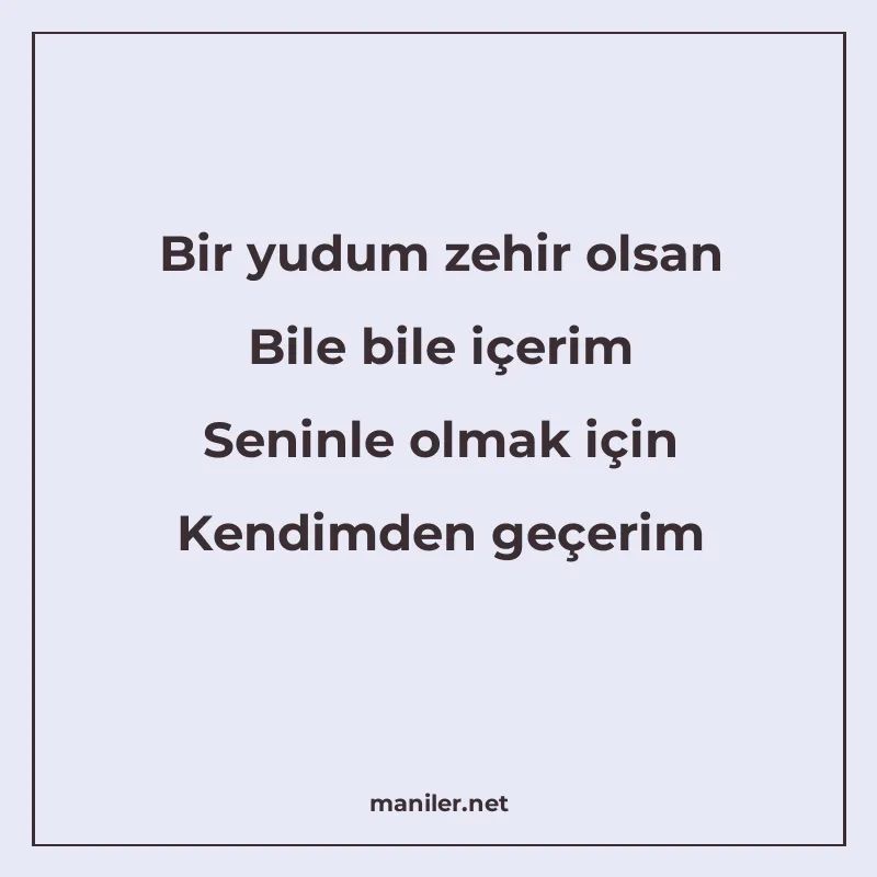 Bir yudum zehir olsan Bile bile içerim Seninle olmak için Ke manisi görseli