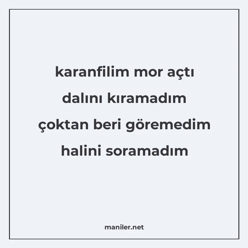 karanfilim mor açtı dalını kıramadım çoktan beri göremedim h manisi görseli