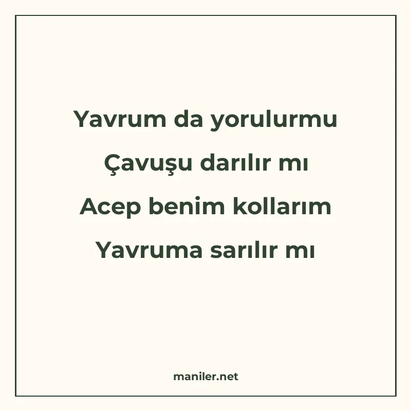 Yavrum da yorulurmu Çavuşu darılır mı Acep benim kollarım Ya manisi görseli