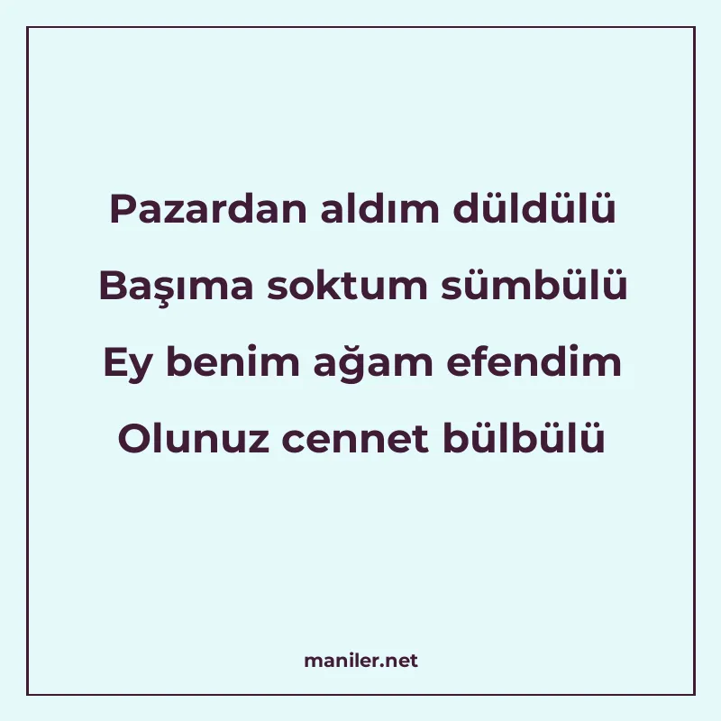 Pazardan aldım düldülü Başıma soktum sümbülü Ey benim ağam e manisi görseli