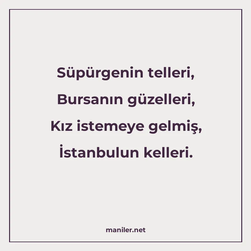 Süpürgenin telleri, Bursanın güzelleri, Kız istemeye gelmiş manisi görseli