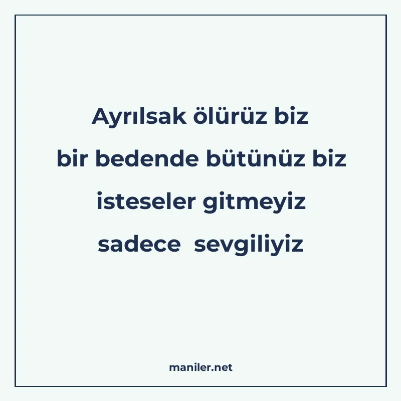 Ayrılsak ölürüz biz bir bedende bütünüz biz isteseler gitmey manisi görseli