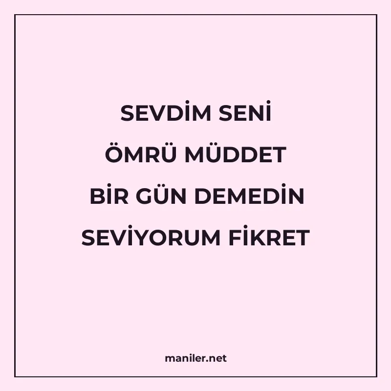 SEVDİM SENİ ÖMRÜ MÜDDET BİR GÜN DEMEDİN SEVİYORUM FİKRET manisi görseli