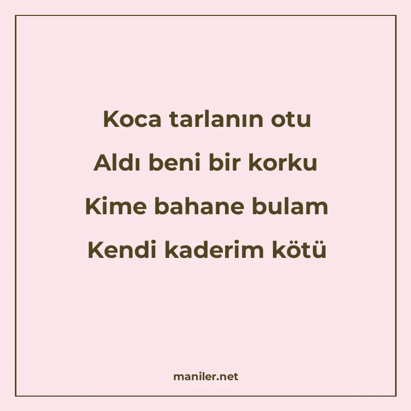 Koca tarlanın otu Aldı beni bir korku Kime bahane bulam Kend manisi görseli