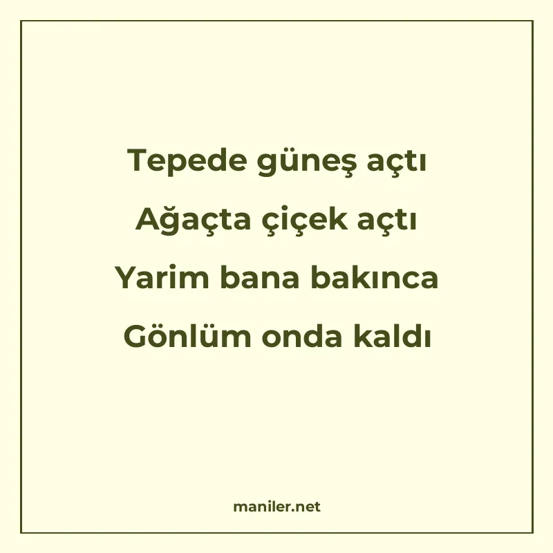 Tepede güneş açtı Ağaçta çiçek açtı Yarim bana bakınca Gönlü manisi görseli
