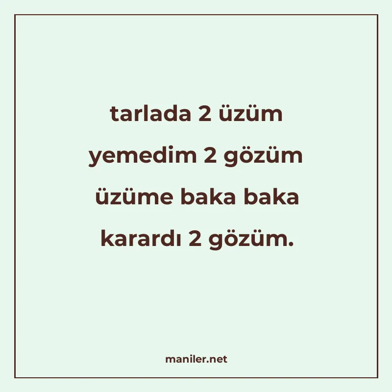 tarlada 2 üzüm yemedim 2 gözüm üzüme baka baka karardı 2 göz manisi görseli