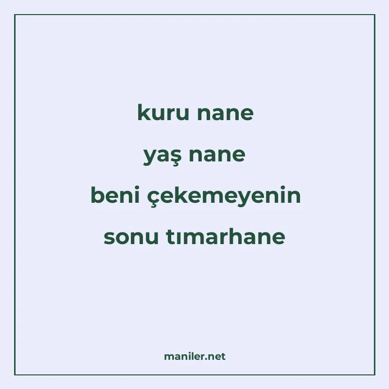 kuru nane yaş nane beni çekemeyenin sonu tımarhane manisi görseli
