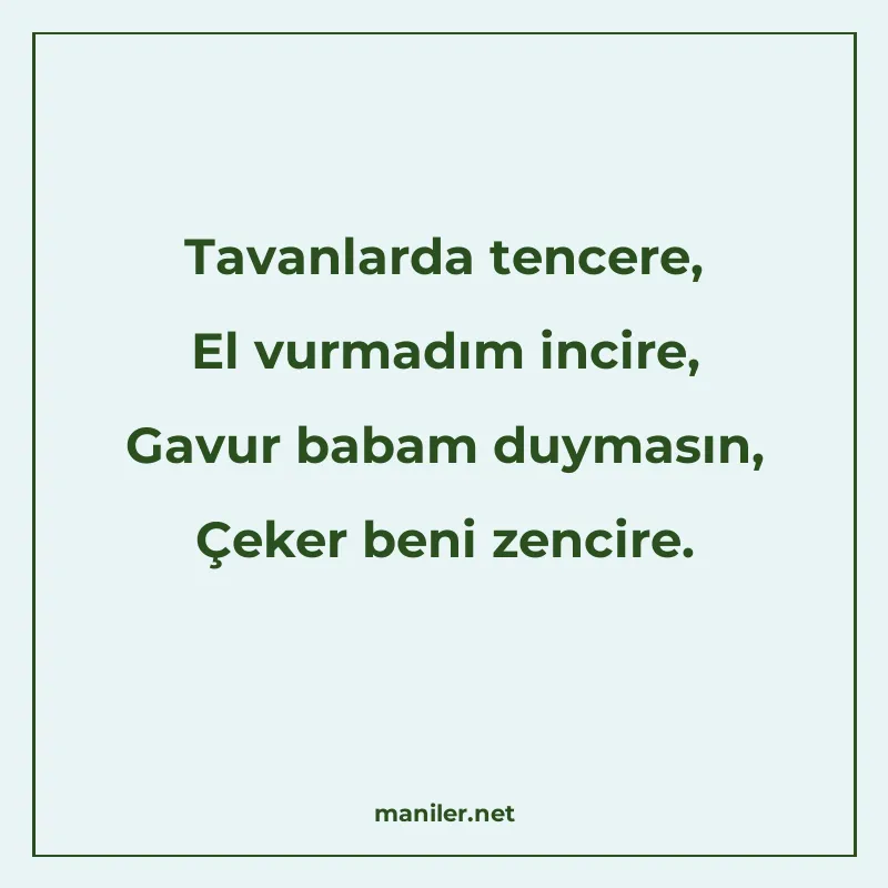 Tavanlarda tencere, El vurmadım incire, Gavur babam duymasın manisi görseli