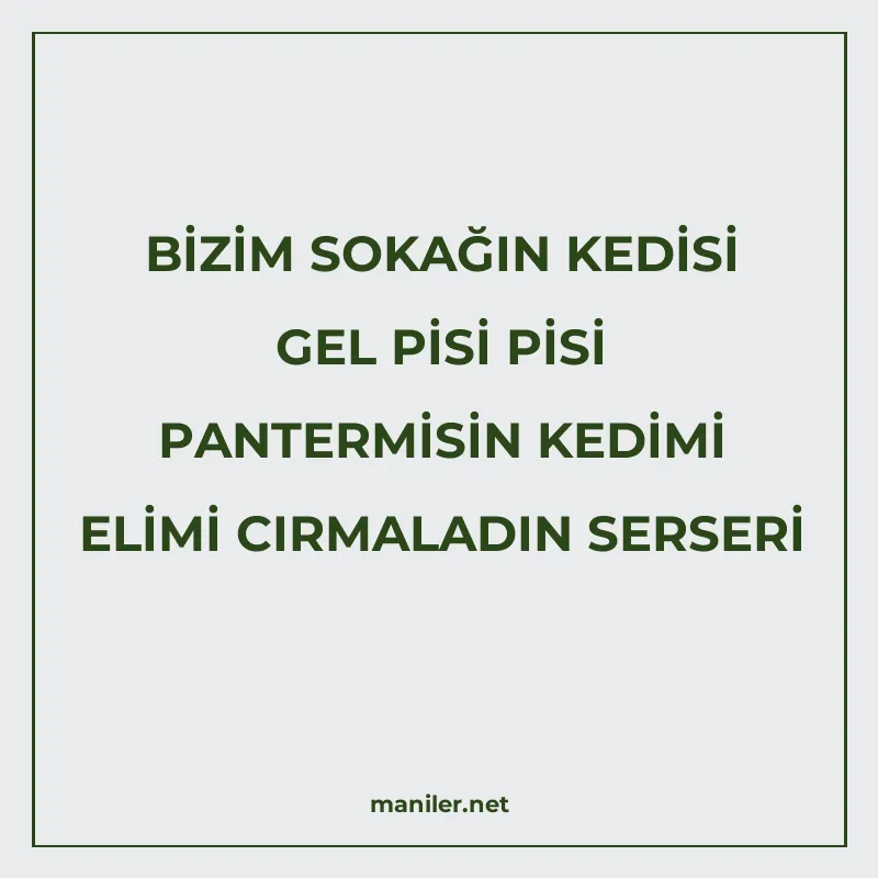BİZİM SOKAĞIN KEDİSİ GEL PİSİ PİSİ PANTERMİSİN KEDİMİ ELİMİ manisi görseli