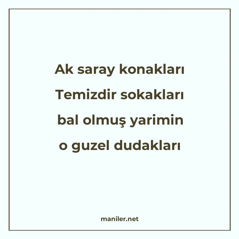 Ak saray konakları Temizdir sokakları bal olmuş yarimin o gu manisi görseli