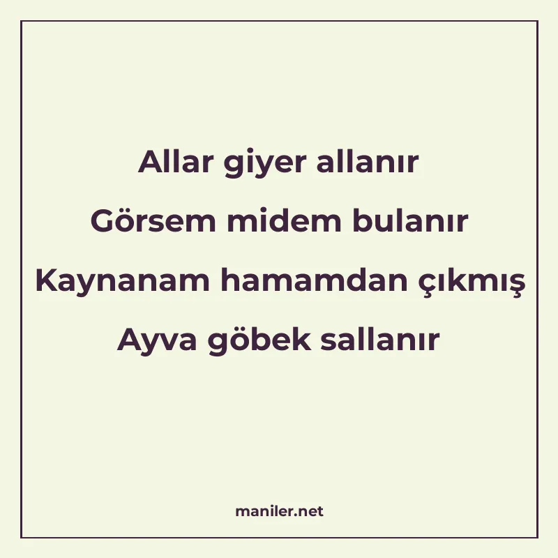 Allar giyer allanır Görsem midem bulanır Kaynanam hamamdan ç manisi görseli
