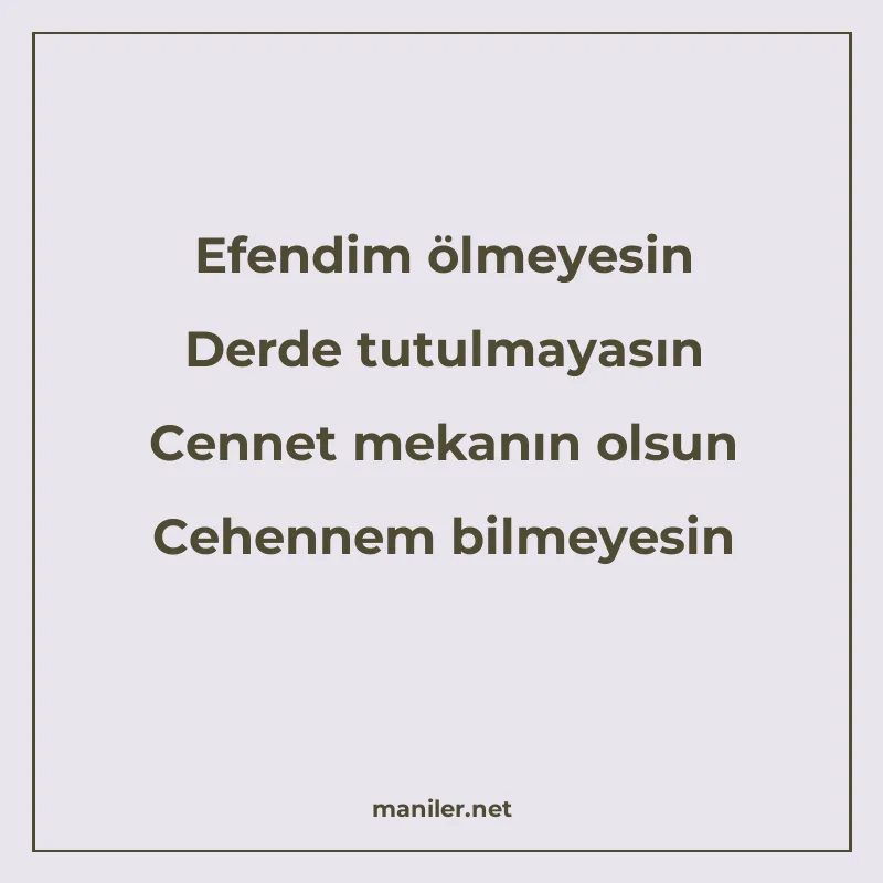 Efendim ölmeyesin Derde tutulmayasın Cennet mekanın olsun Ce manisi görseli