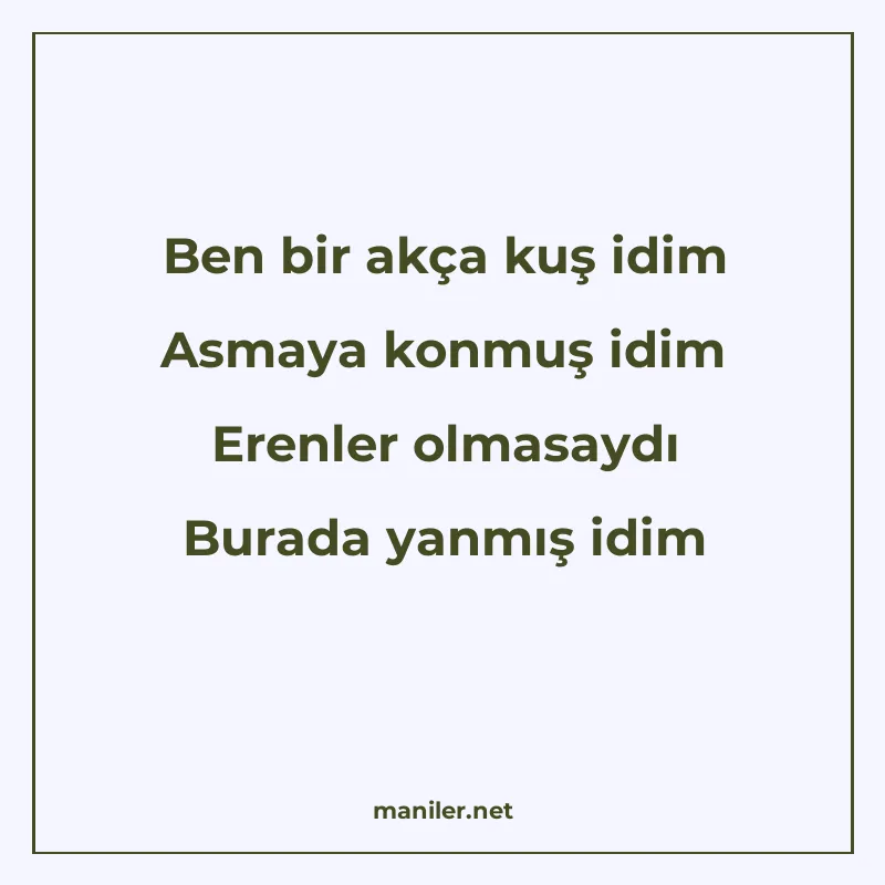 Ben bir akça kuş idim Asmaya konmuş idim Erenler olmasaydı B manisi görseli