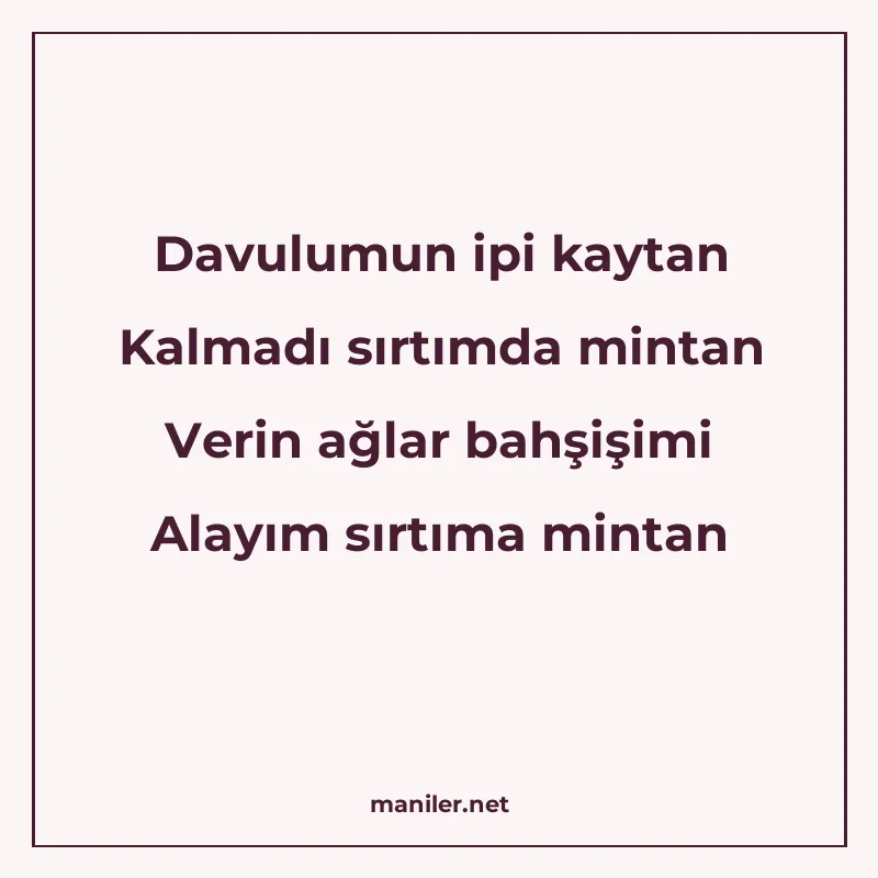 Davulumun ipi kaytan Kalmadı sırtımda mintan Verin ağlar bah manisi görseli