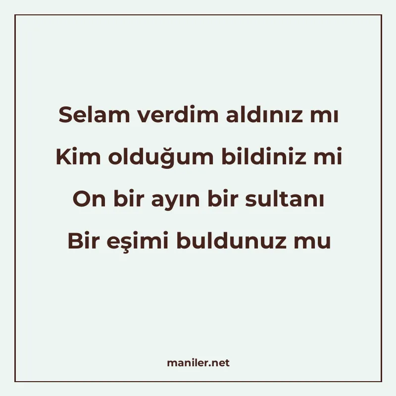 Selam verdim aldınız mı Kim olduğum bildiniz mi On bir ayın manisi görseli