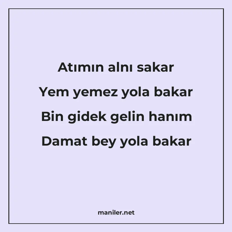 Atımın alnı sakar Yem yemez yola bakar Bin gidek gelin hanım manisi görseli
