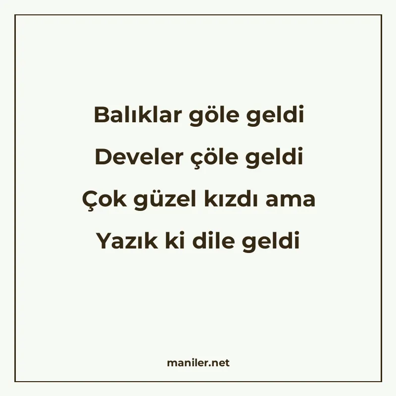 Balıklar göle geldi Develer çöle geldi Çok güzel kızdı ama Y manisi görseli