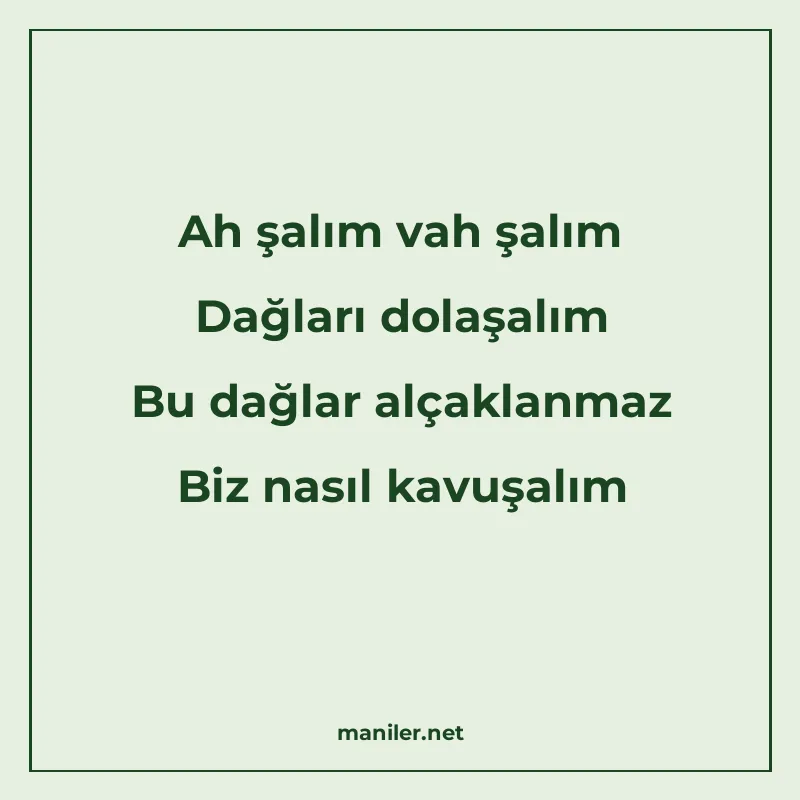 Ah şalım vah şalım Dağları dolaşalım Bu dağlar alçaklanmaz B manisi görseli