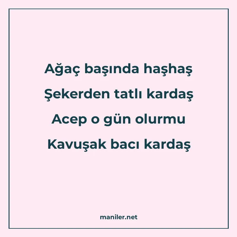 Ağaç başında haşhaş Şekerden tatlı kardaş Acep o gün olurmu manisi görseli