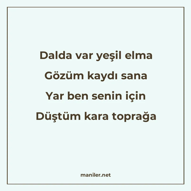 Dalda var yeşil elma Gözüm kaydı sana Yar ben senin için Düş manisi görseli