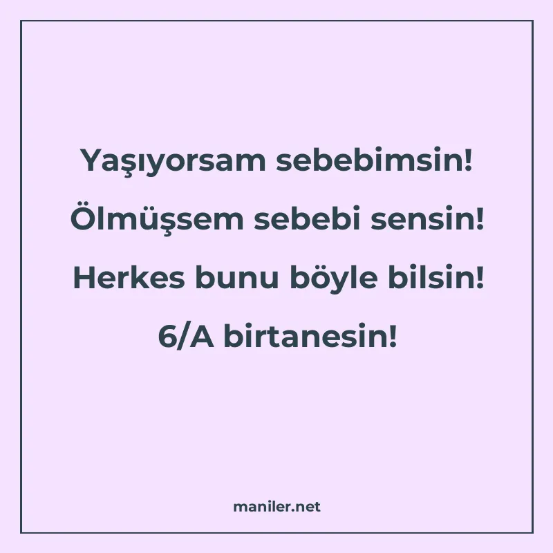 Yaşıyorsam sebebimsin! Ölmüşsem sebebi sensin! Herkes bunu b manisi görseli