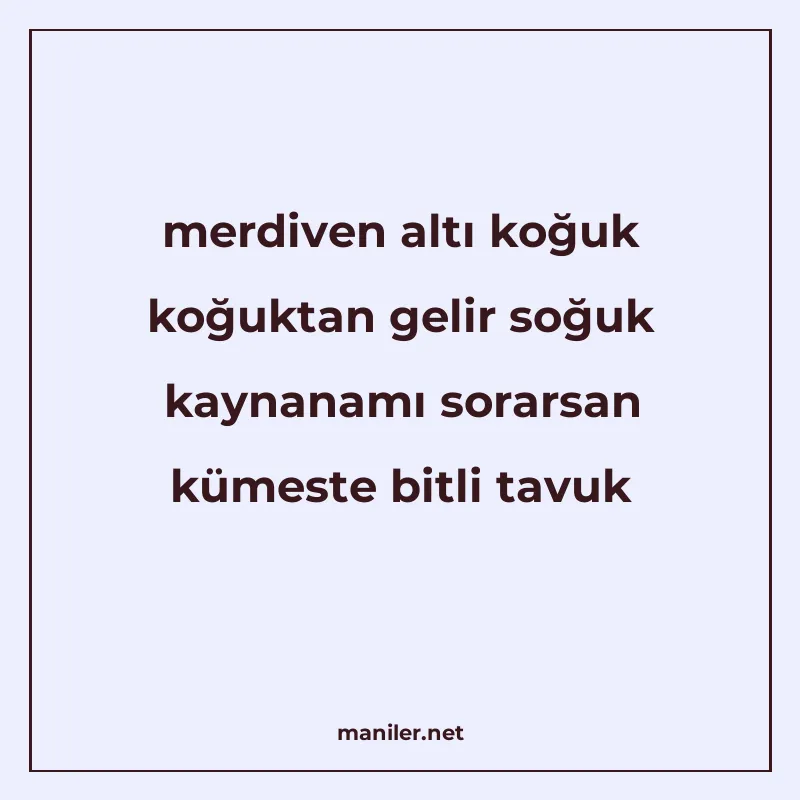 merdiven altı koğuk koğuktan gelir soğuk kaynanamı sorarsan manisi görseli