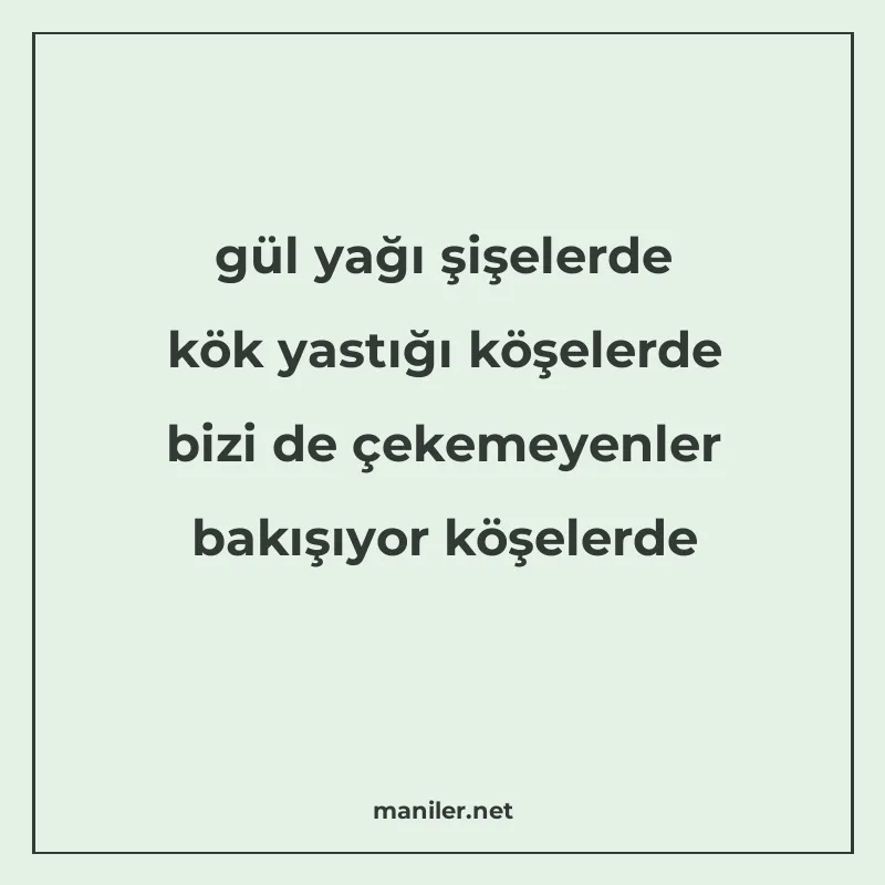 gül yağı şişelerde kök yastığı köşelerde bizi de çekemeyenle manisi görseli