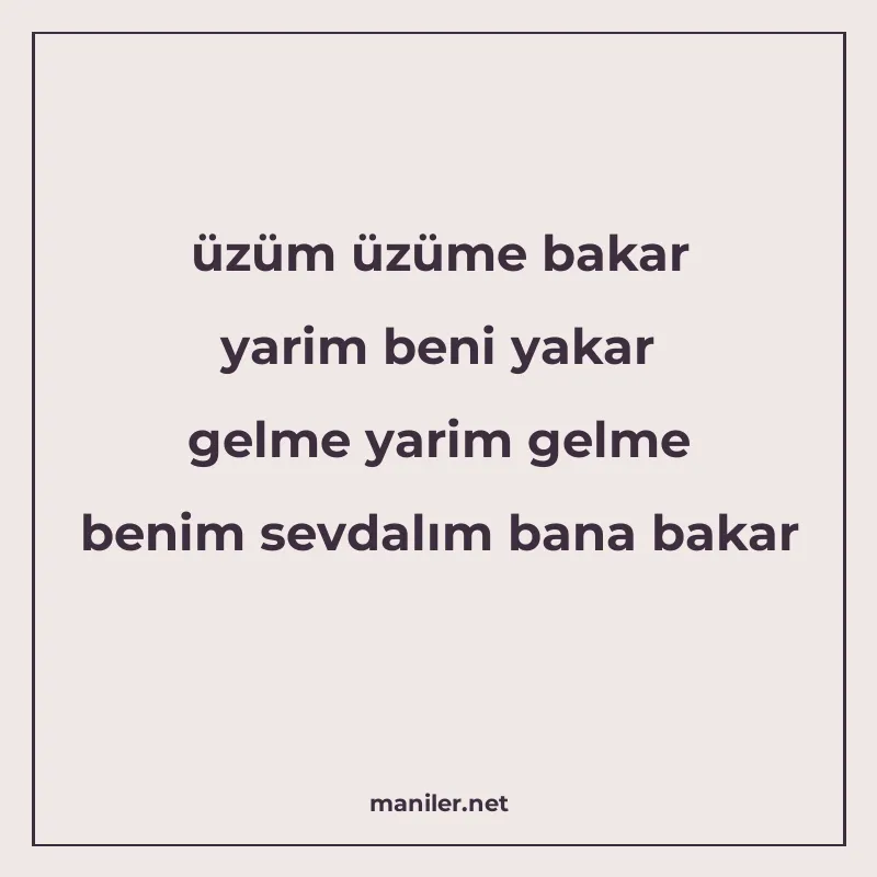 üzüm üzüme bakar yarim beni yakar gelme yarim gelme benim se manisi görseli