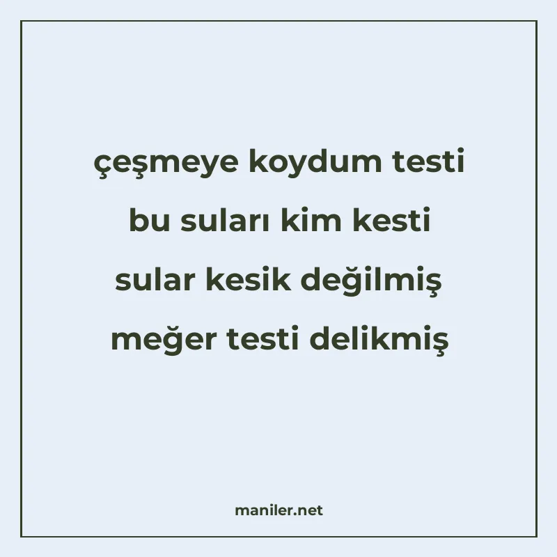 çeşmeye koydum testi bu suları kim kesti sular kesik değilmi manisi görseli