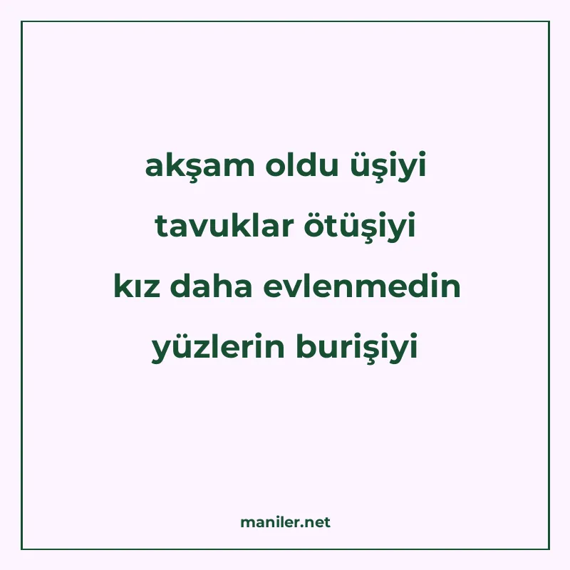 akşam oldu üşiyi tavuklar ötüşiyi kız daha evlenmedin yüzler manisi görseli