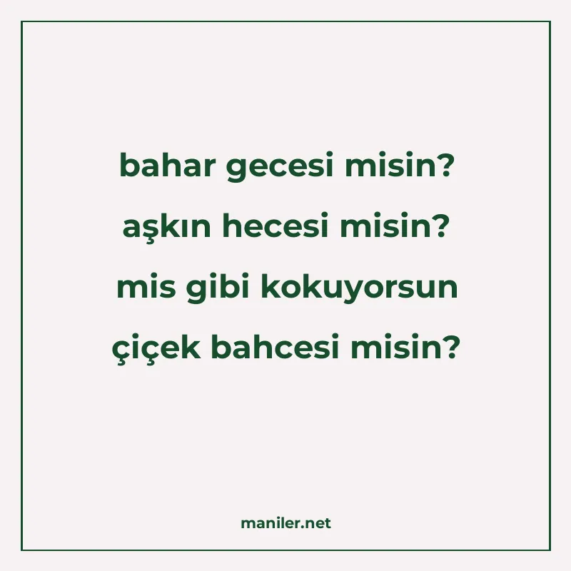 bahar gecesi misin? aşkın hecesi misin? mis gibi kokuyorsun manisi görseli