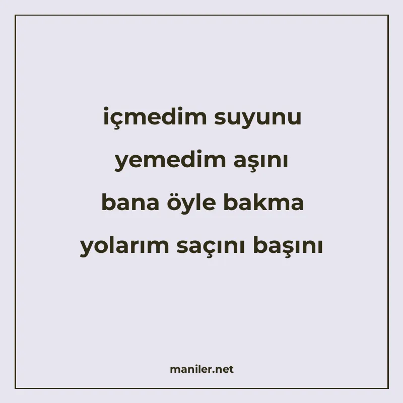 içmedim suyunu yemedim aşını bana öyle bakma yolarım saçını manisi görseli