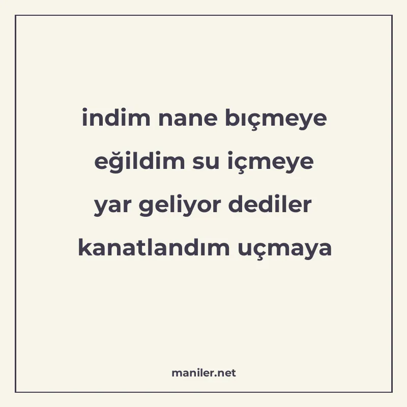 indim nane bıçmeye eğildim su içmeye yar geliyor dediler kan manisi görseli