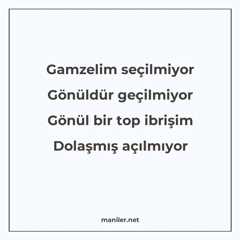Gamzelim seçilmiyor Gönüldür geçilmiyor Gönül bir top ibrişi manisi görseli