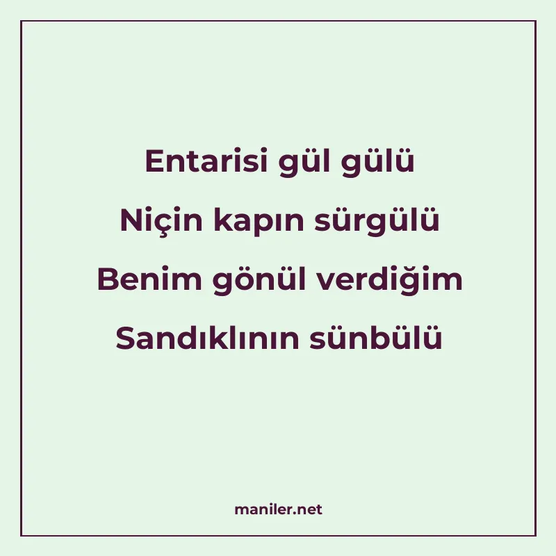 Entarisi gül gülü Niçin kapın sürgülü Benim gönül verdiğim S manisi görseli